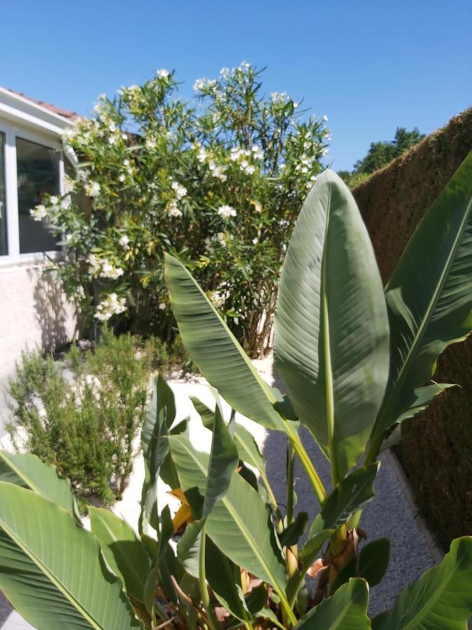 Le Soleil Couchant Angresse Eksteriør bilde